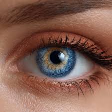 Extended Wear (6 pack)